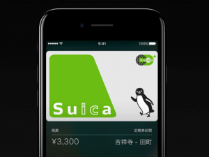 ApplePay