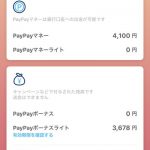 PayPay残高の種類(PayPayマネー、PayPayマネーライト、PayPayポイント、PayPayボーナスライトの違い)