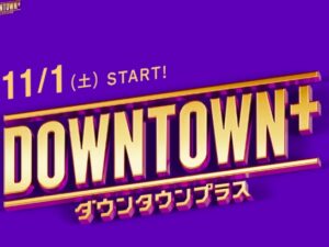 ダウンタウンプラス